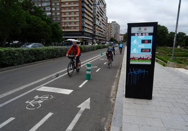 Carril bici en el paseo de Isabel la Católica.