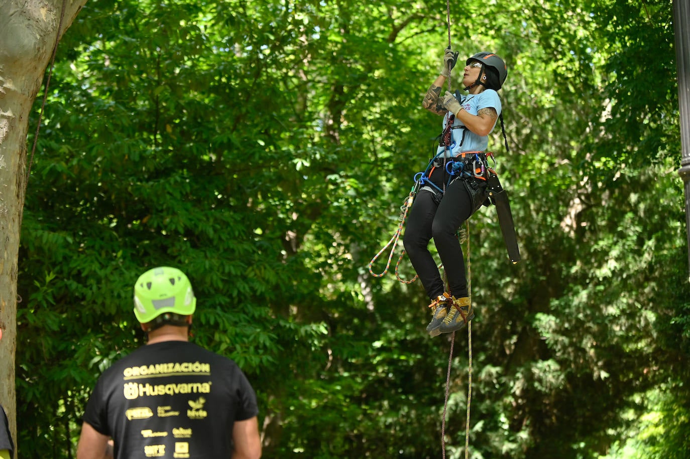 XX Campeonato de España de Trepa de Árboles en el Campo Grande de Valladolid