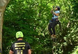 Una participante inicia la escalada en un árbol de Campo Grande.