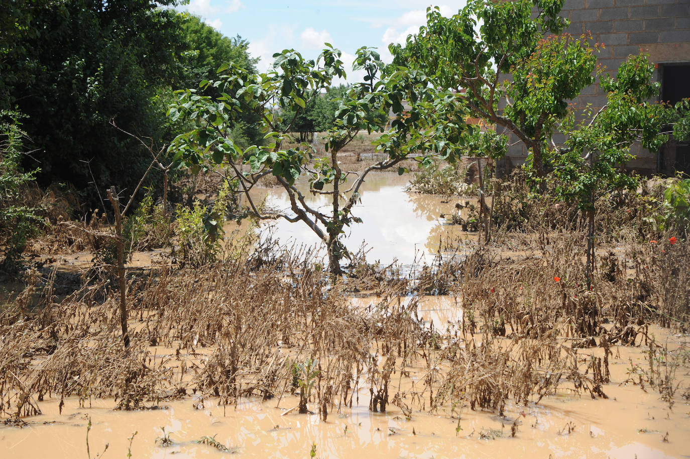 Las imágenes de la inundación en Alaejos