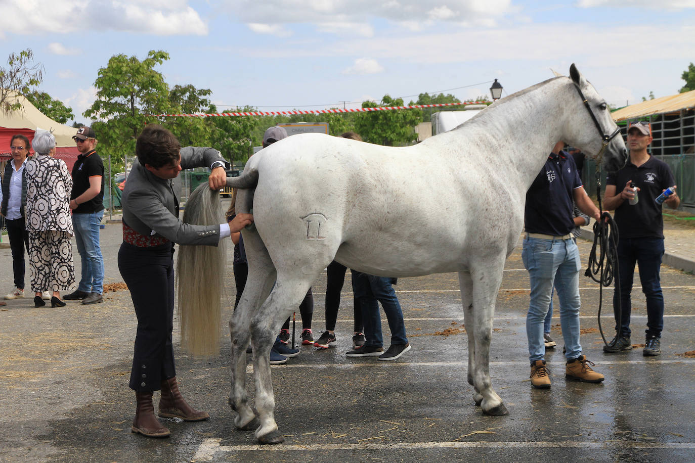 Concurso de caballos en Trescasas