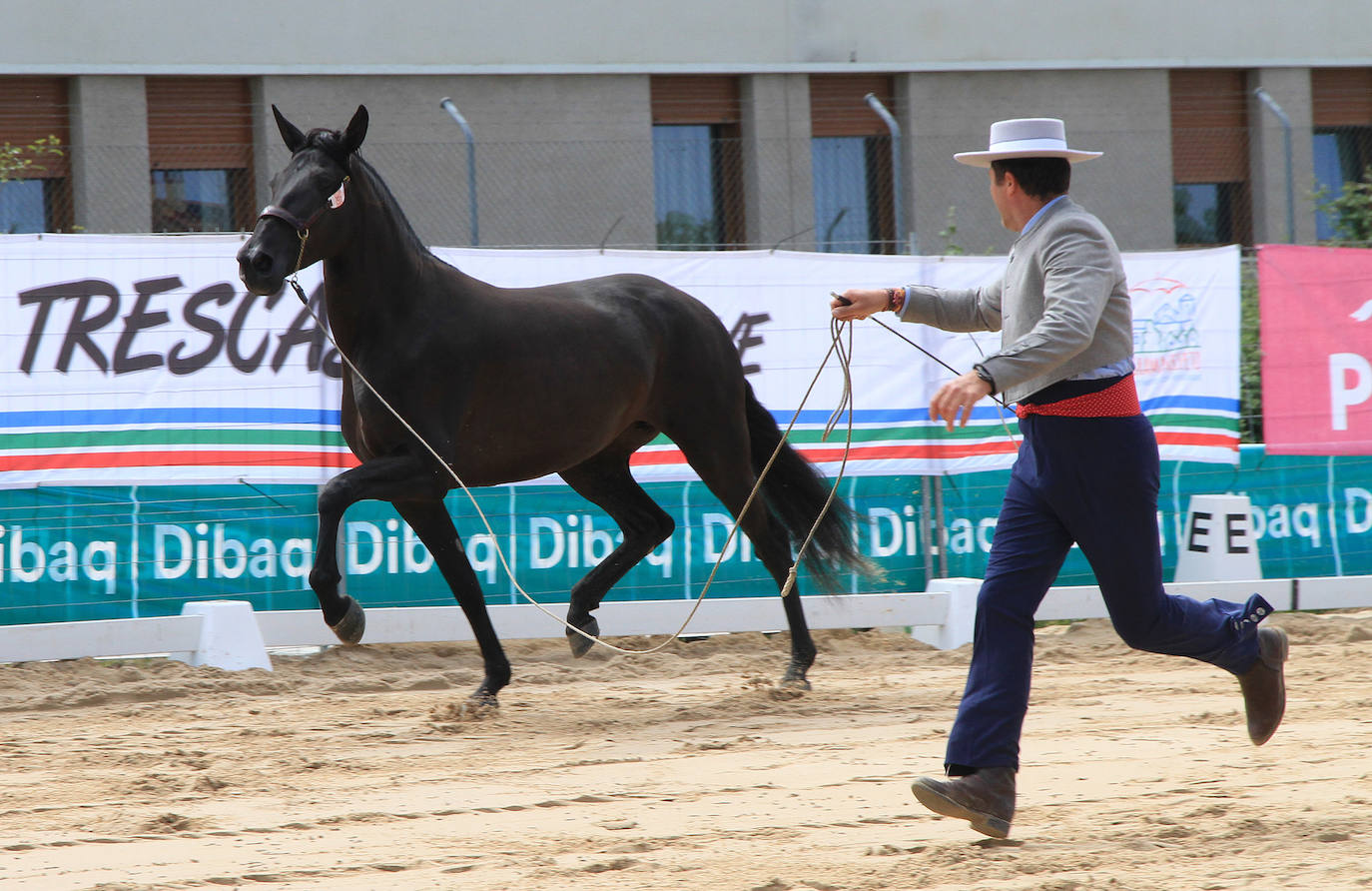 Concurso de caballos en Trescasas