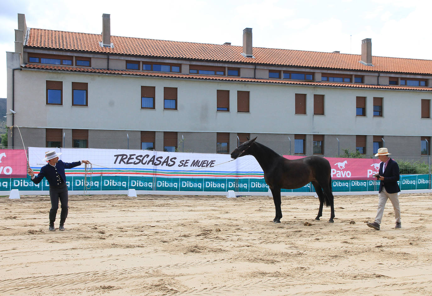 Concurso de caballos en Trescasas