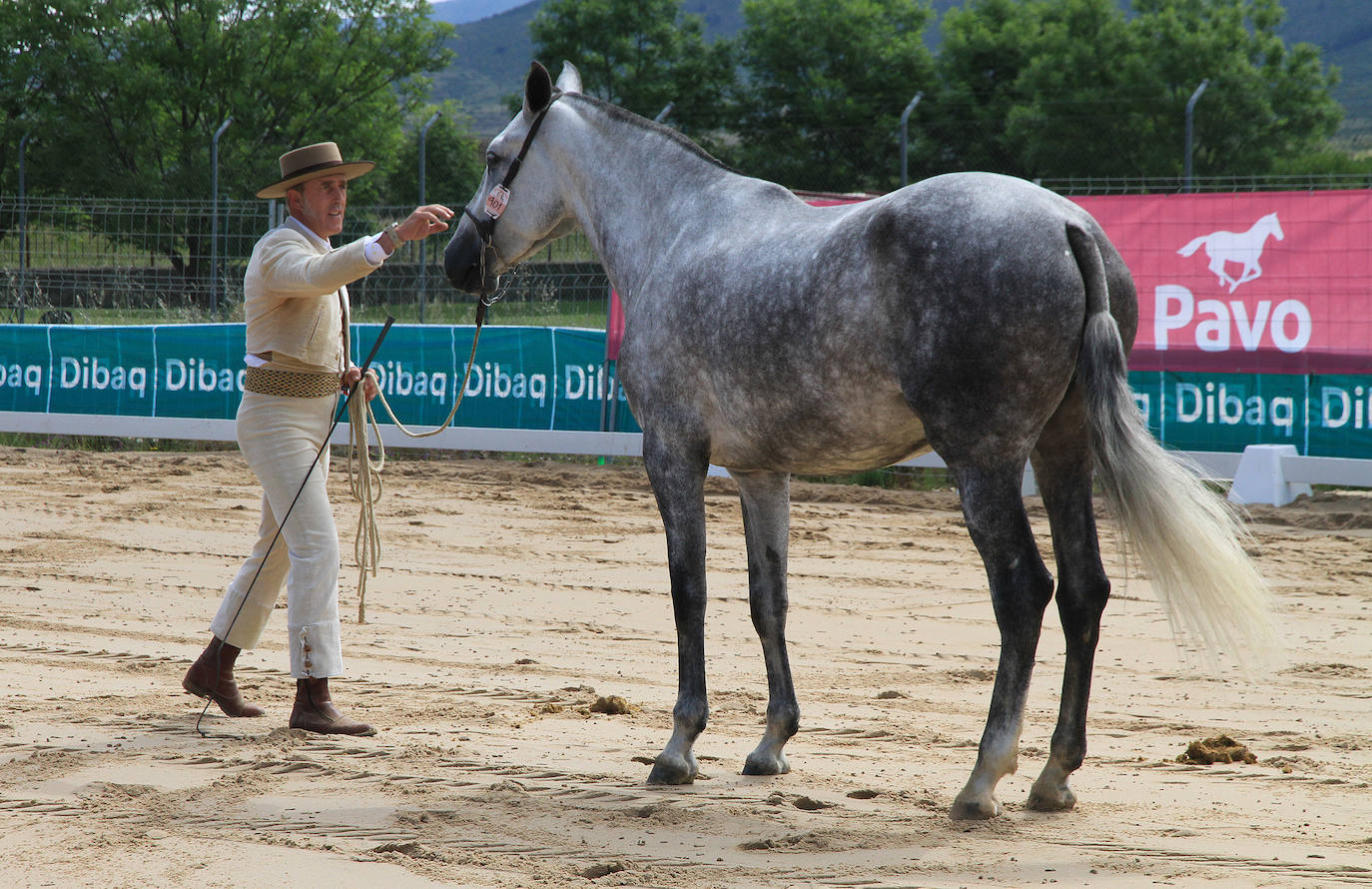 Concurso de caballos en Trescasas