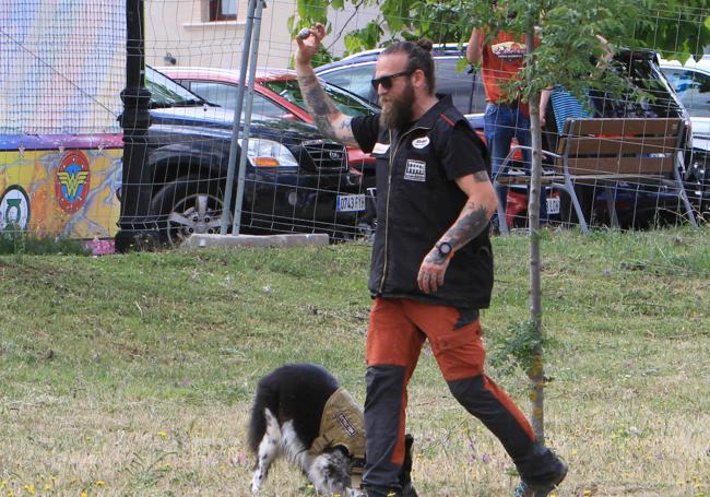 Exhibición de perros detectores de trufa.