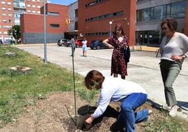 La Secretaria Técnica de Educación de Palencia, Paloma Rivero, planta un almendro, este lunes en la entrada de la Escuela de Idiomas.