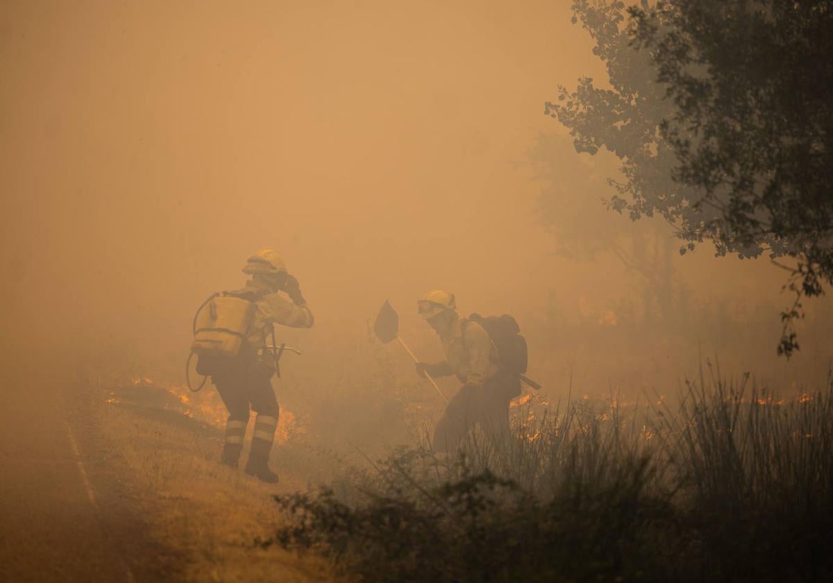 Castilla y León encara la época de máximo riesgo de incendios: el operativo en cifras