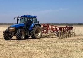 Un agricultor pasa el rastrillo hilerador en una tierra que estaba sembrada de trigo y se ha segado en verde.