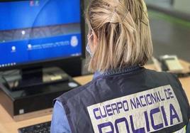 Detenidos dos hermanos en León por tenencia de pornografía infantil