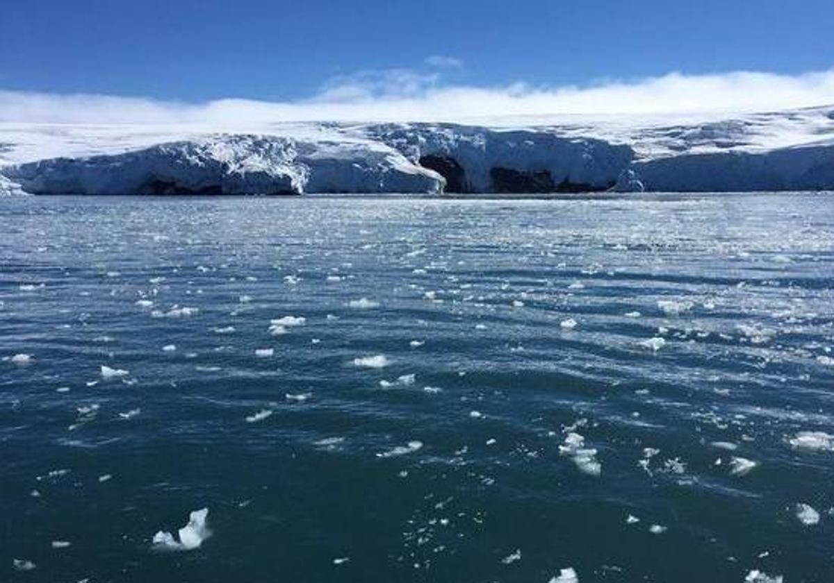 Bloques de hielo flotan en el agua frente a la costa del glaciar Collins, en la Isla Rey Jorge, Antártida.