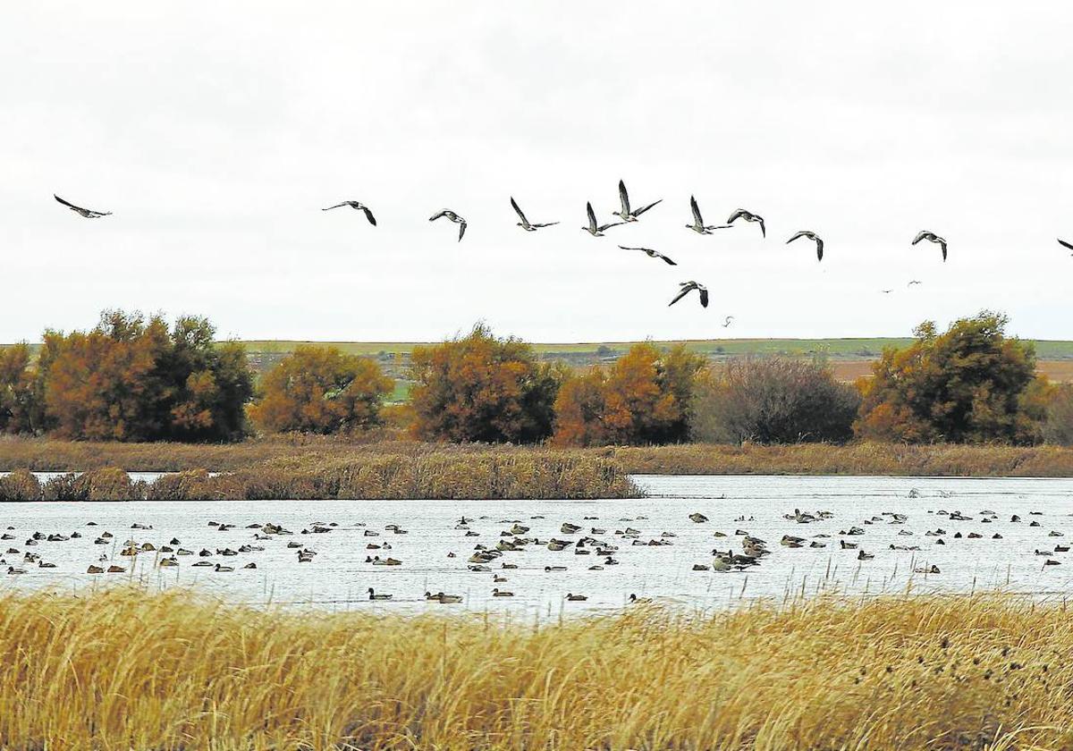 Turismo y aventura, una Palencia para perderse