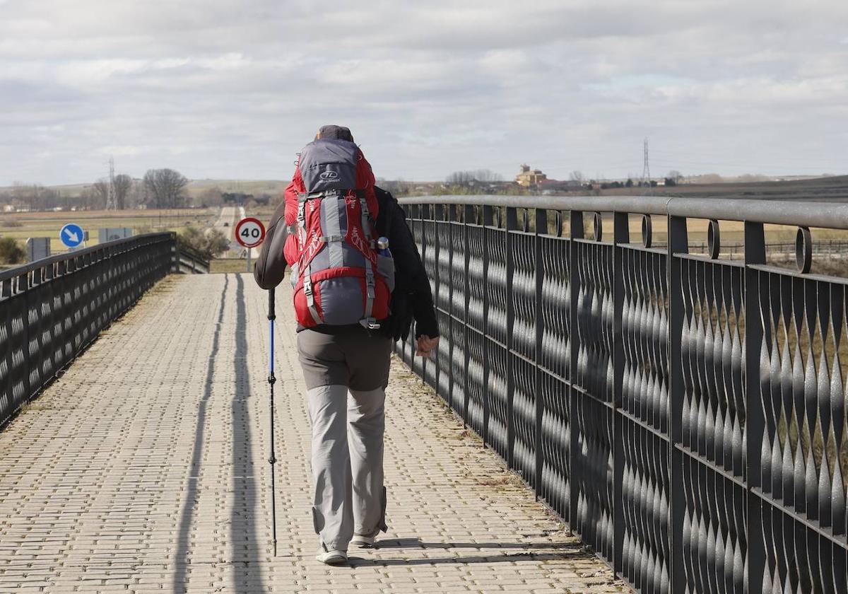 La evolución provincial de Palencia: transformación y adaptación al siglo XXI