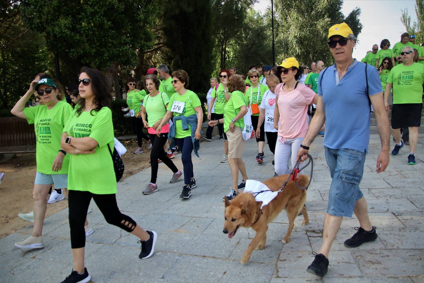 Búscate en la marcha contra el cáncer celebrada en Medina de Rioseco (2 de 2)