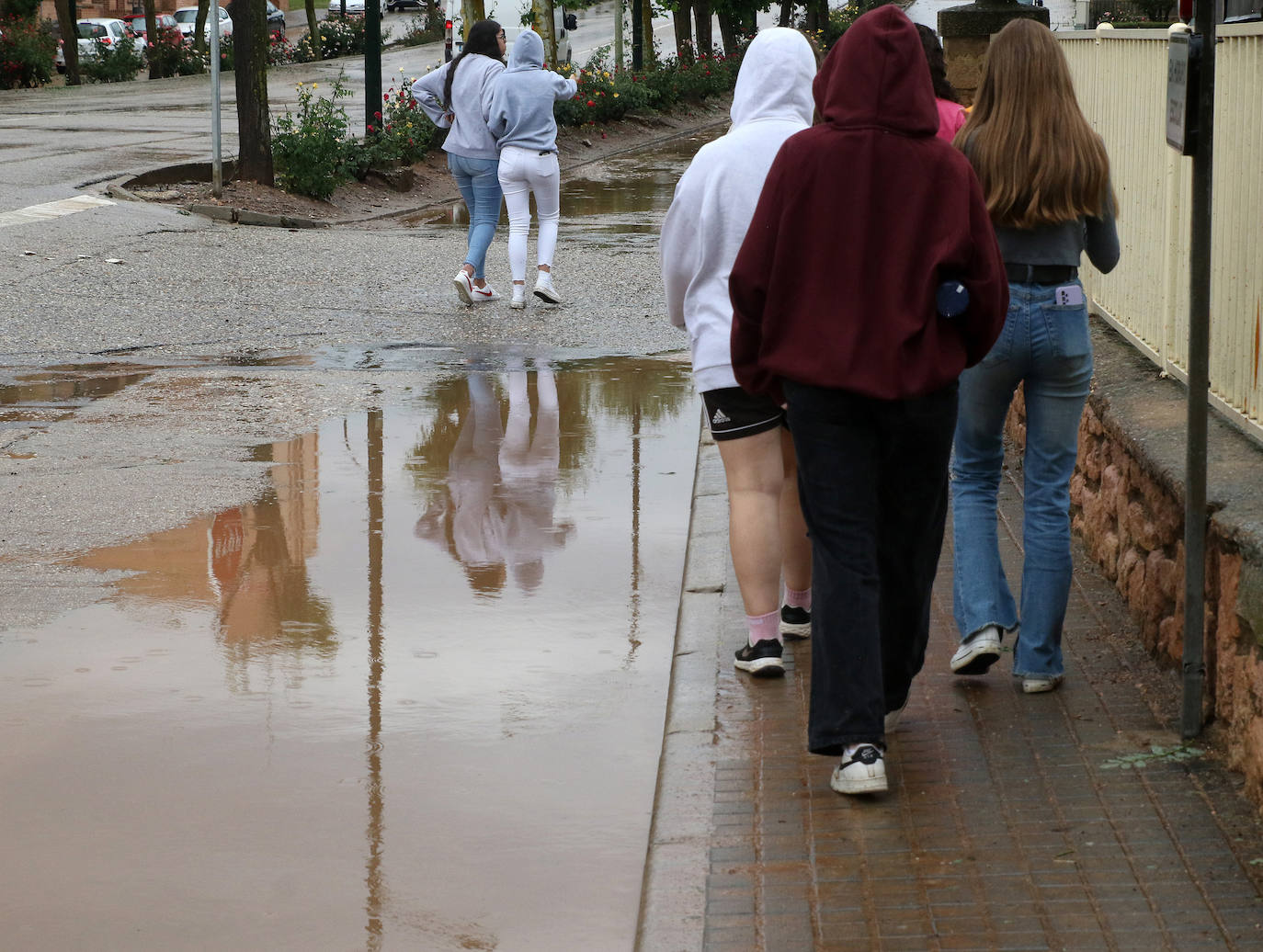 El rastro de la tormenta de granizo en Ayllón