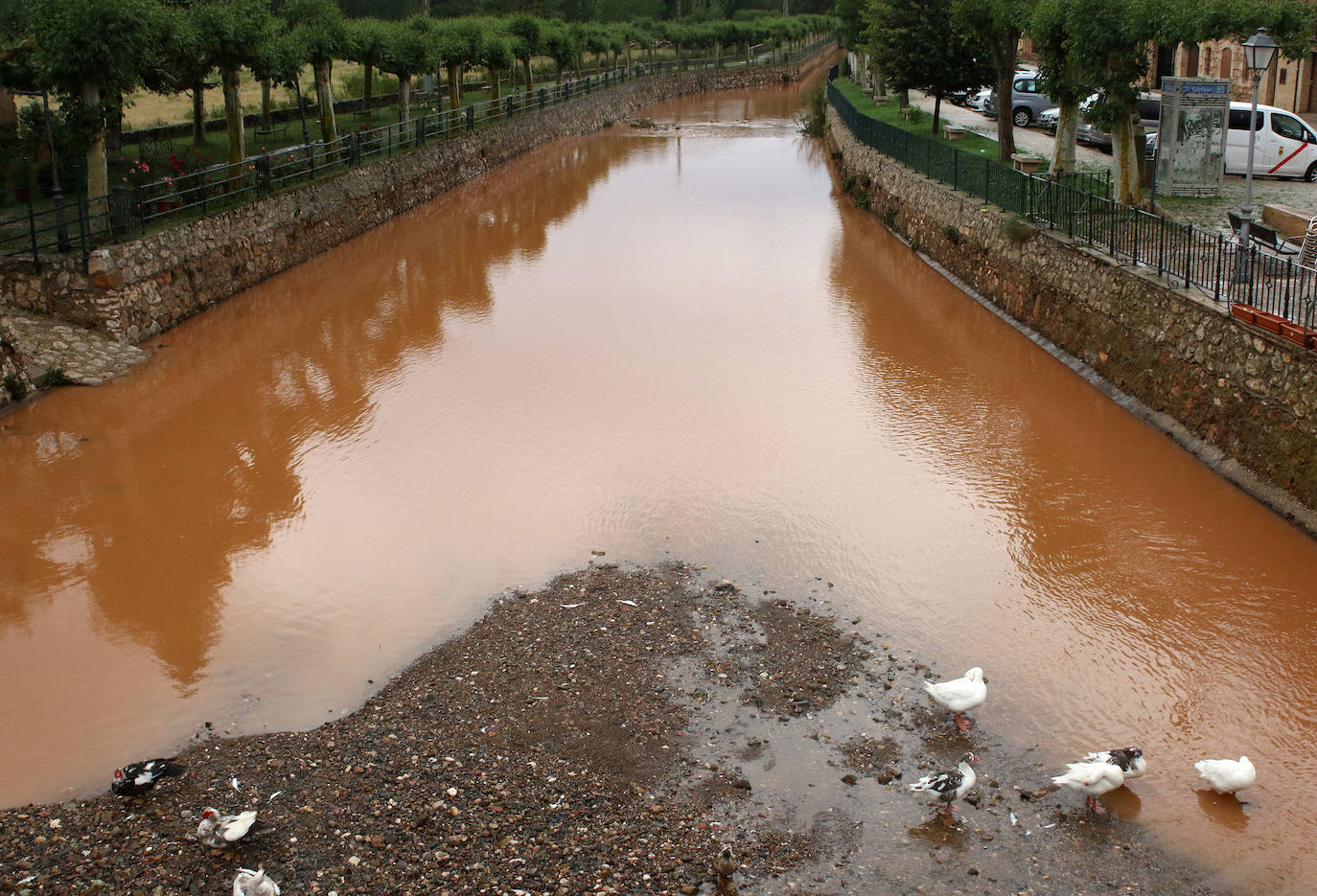 El rastro de la tormenta de granizo en Ayllón