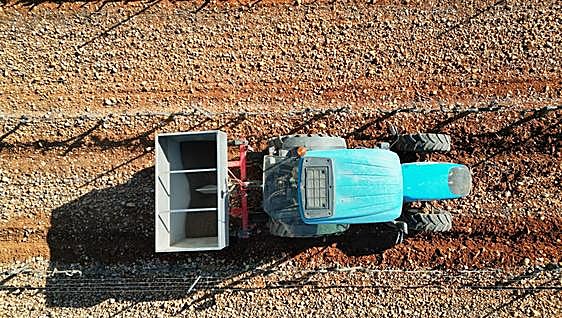 Los viticultores que no hayan podido ejecutar sus autorizaciones de plantación no serán sancionados