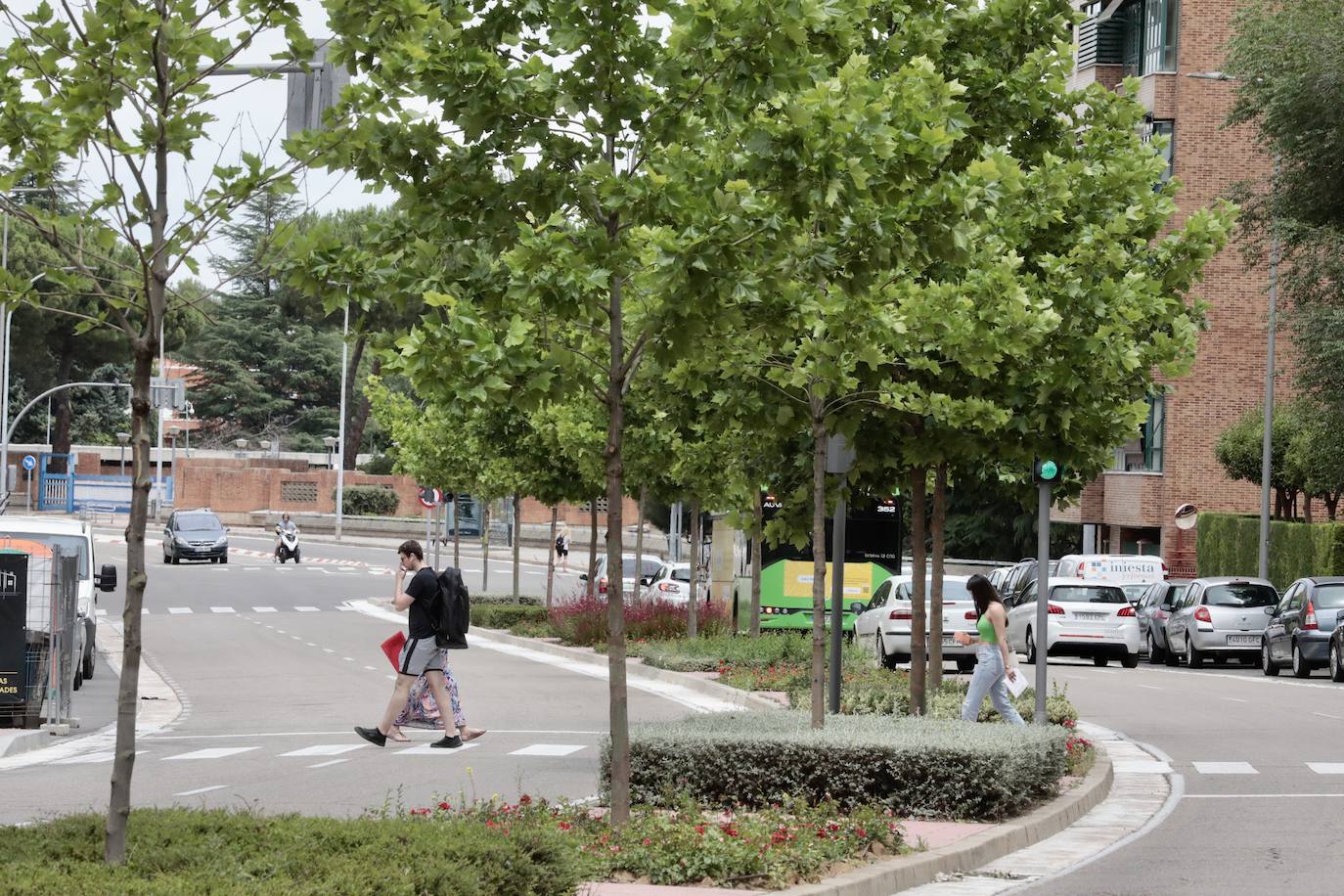 Un paseo en imágenes por la calle Adolfo Miaja de la Muela