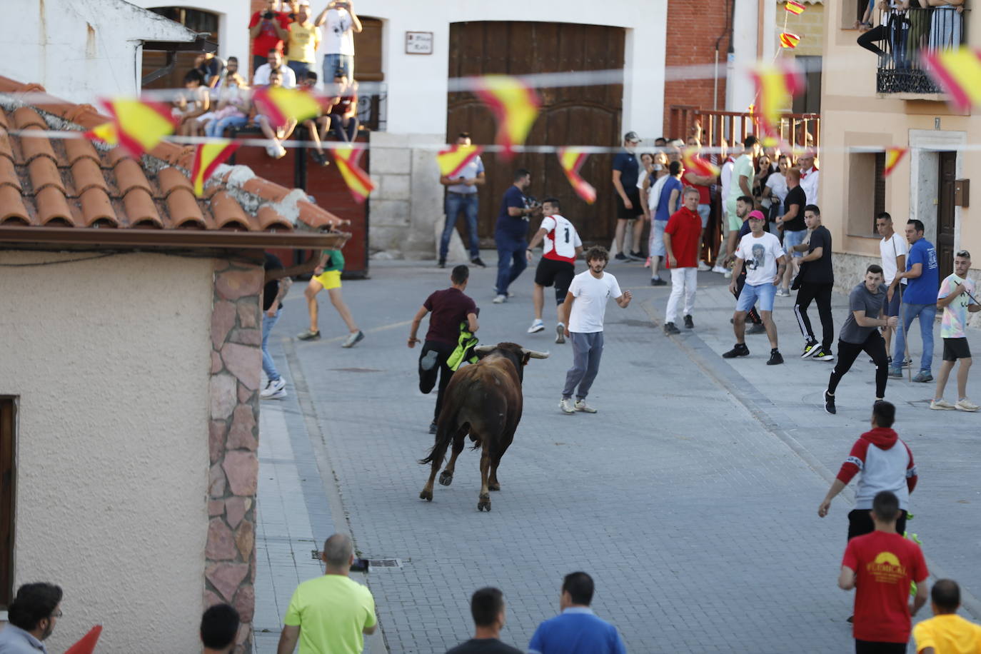 El encierro de Traspinedo, en imágenes