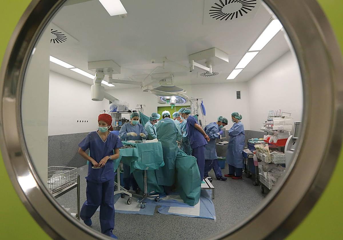 La AECC de Valladolid aplaude el derecho al olvido oncológico: «Hay vida tras un cáncer»