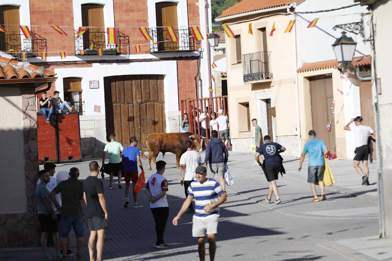 Encierro del sábado por la mañana en Traspinedo