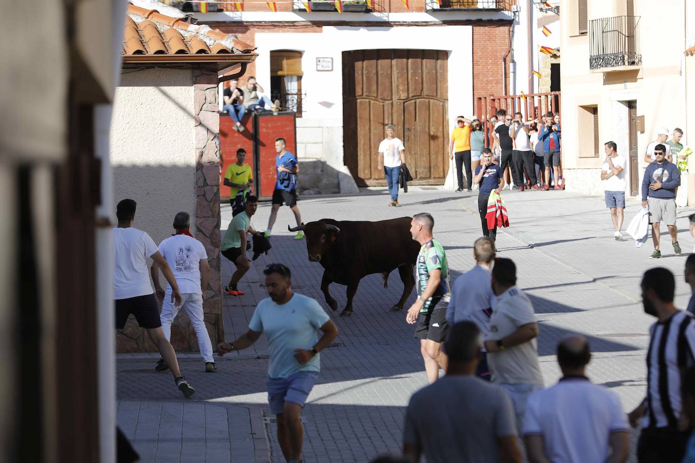 Encierro del sábado por la mañana en Traspinedo