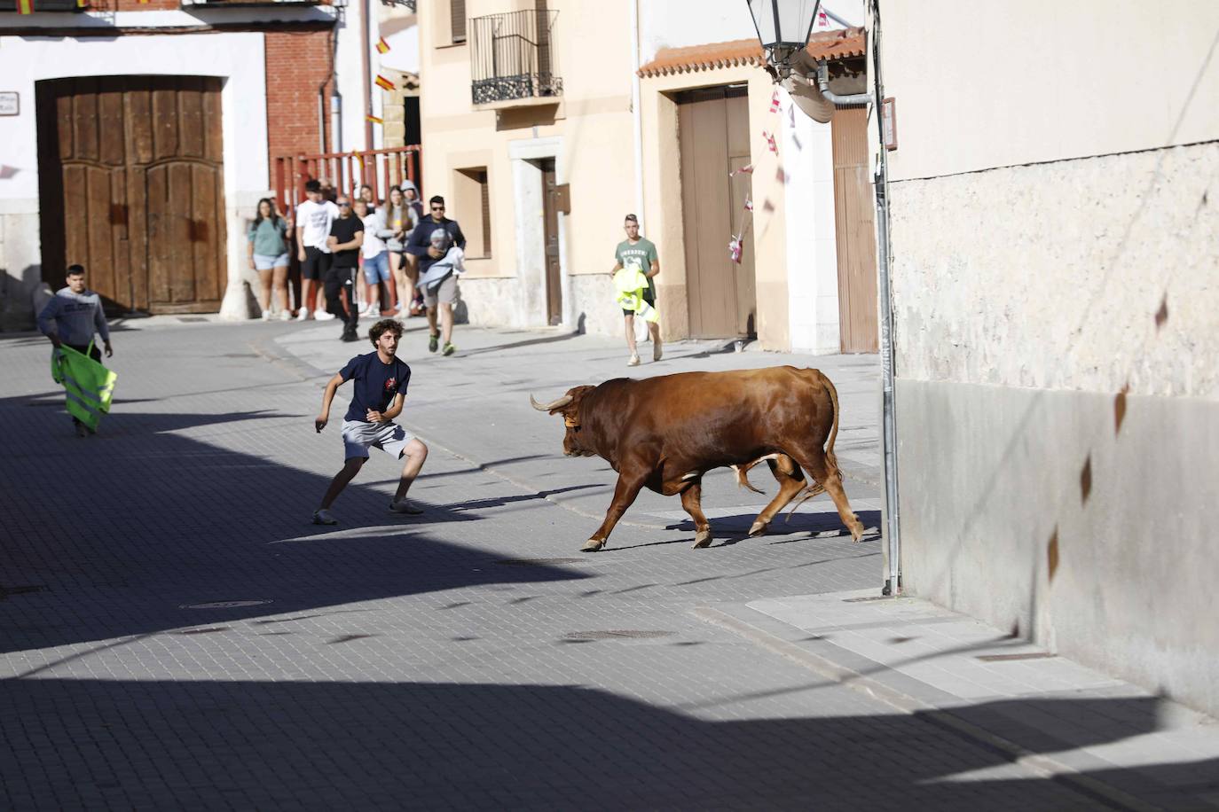 Encierro del sábado por la mañana en Traspinedo