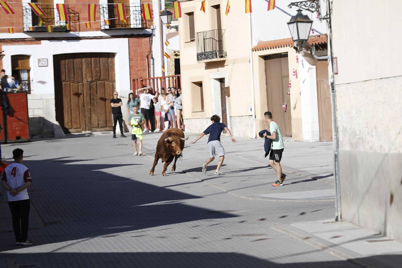 Encierro del sábado por la mañana en Traspinedo