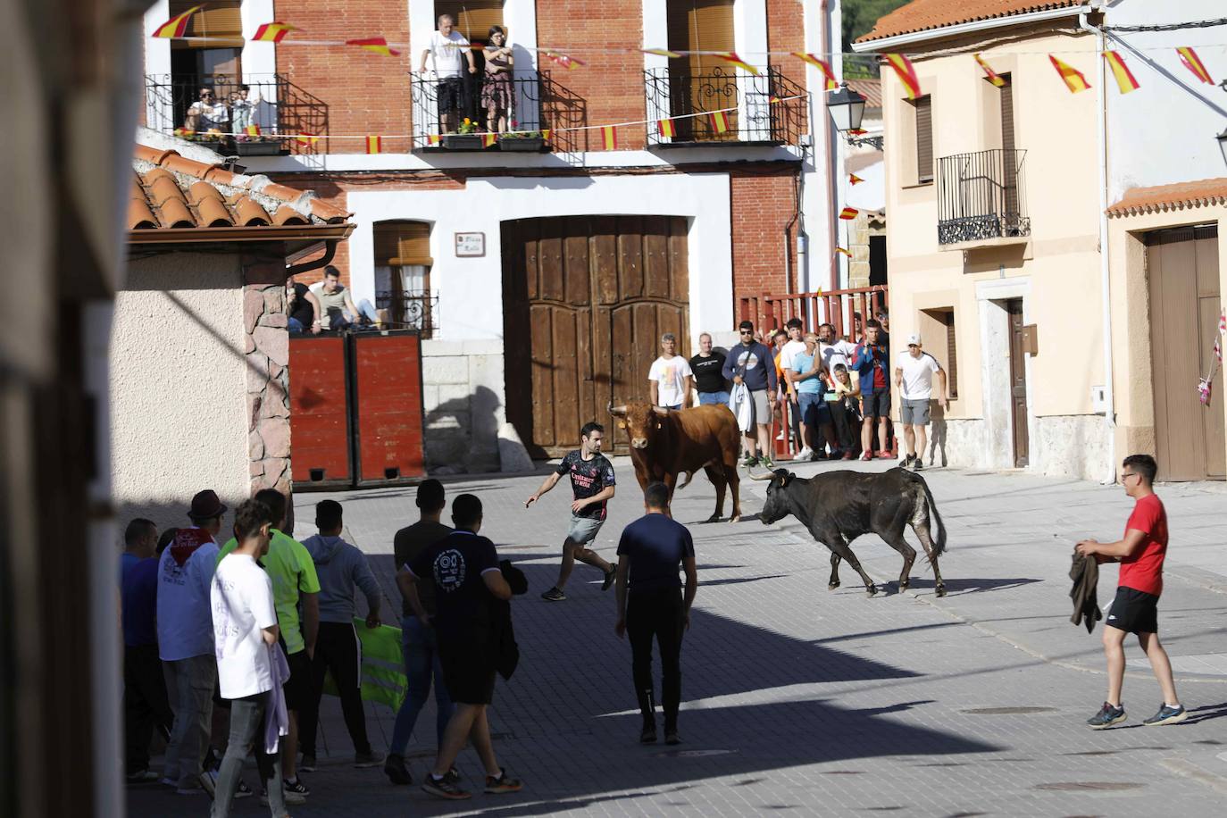 Encierro del sábado por la mañana en Traspinedo