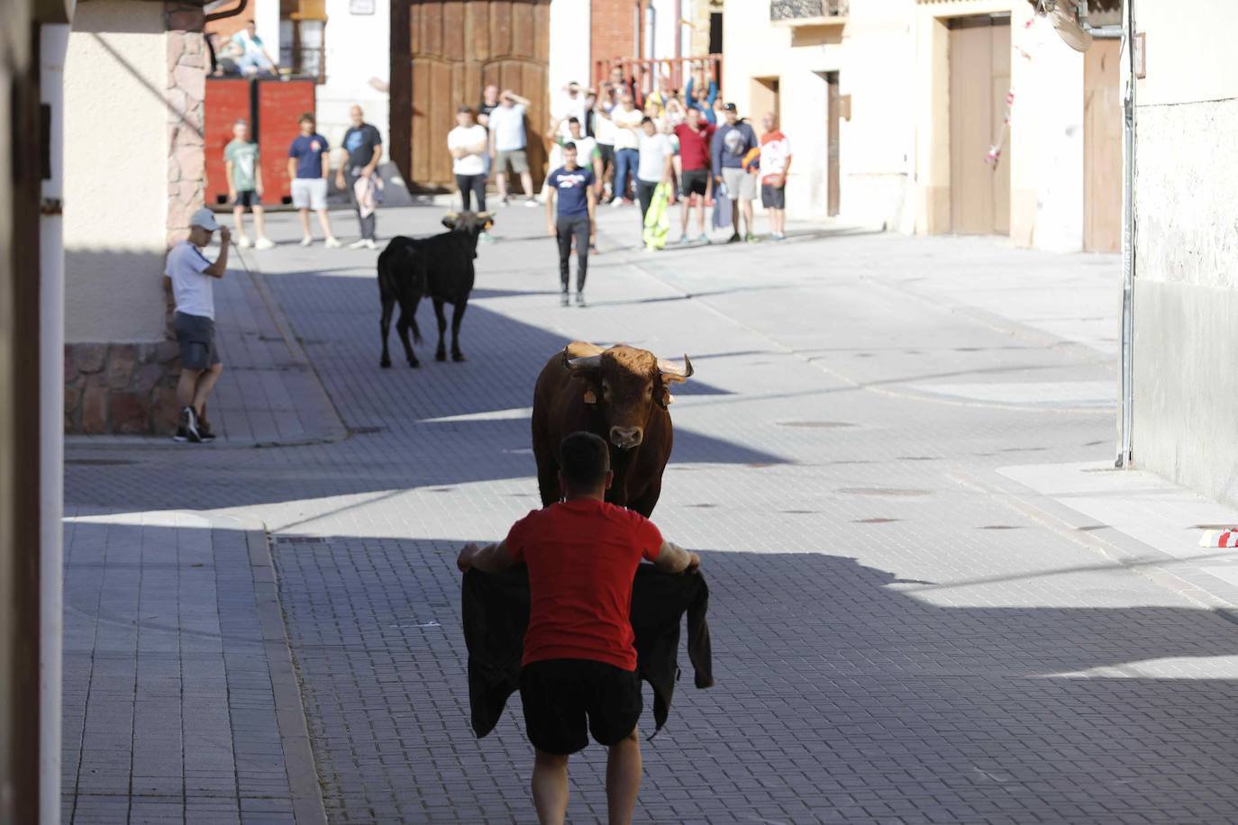 Encierro del sábado por la mañana en Traspinedo