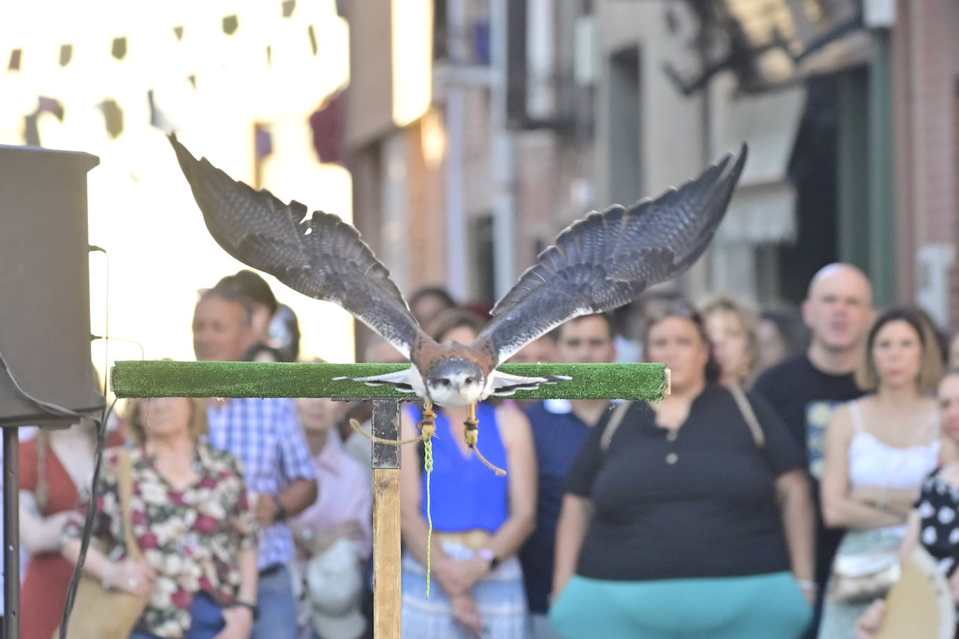 Mojados conmemora el encuentro de los hijos de Juana I de Castilla y Felipe I de Habsburgo