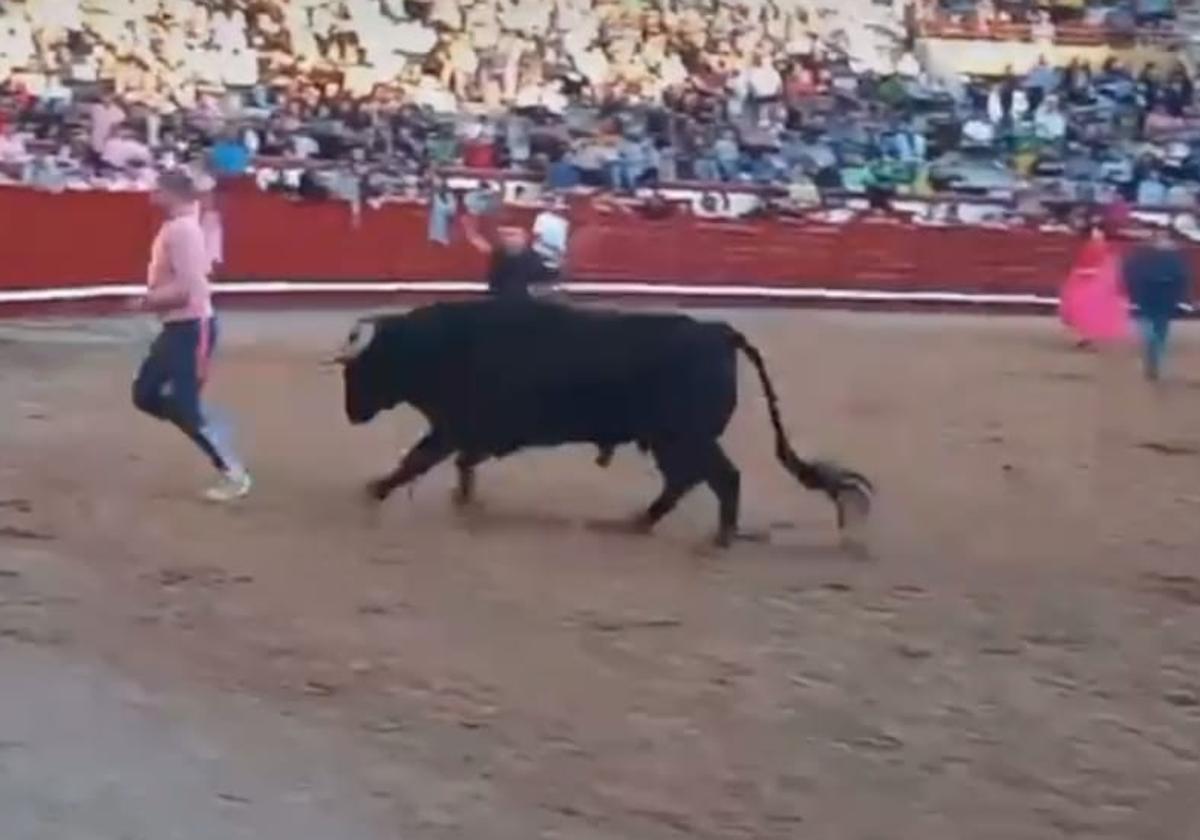 El cortador vallisoletano Ismael Viana, herido grave en una capea en Arévalo