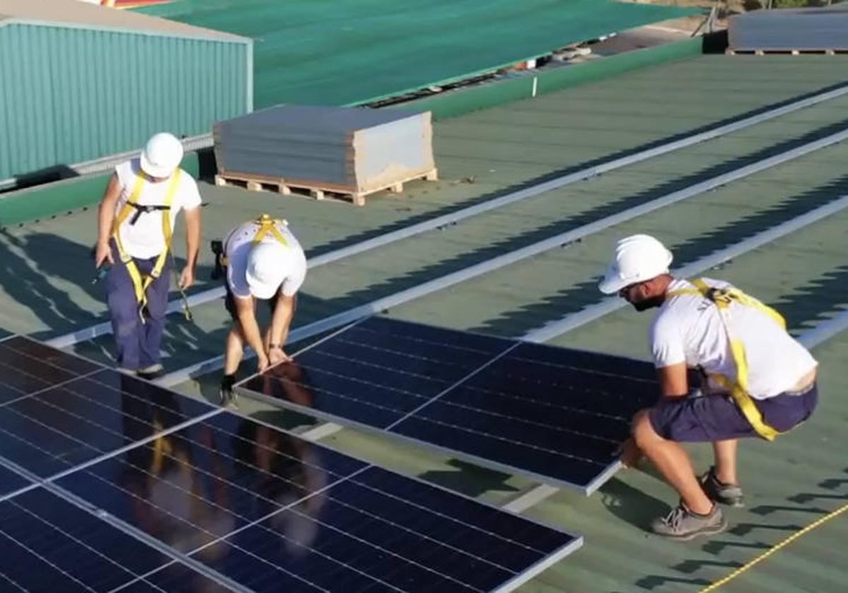 Unos instaladores de placas fotovoltaicas, en el techo de una nave industrial.