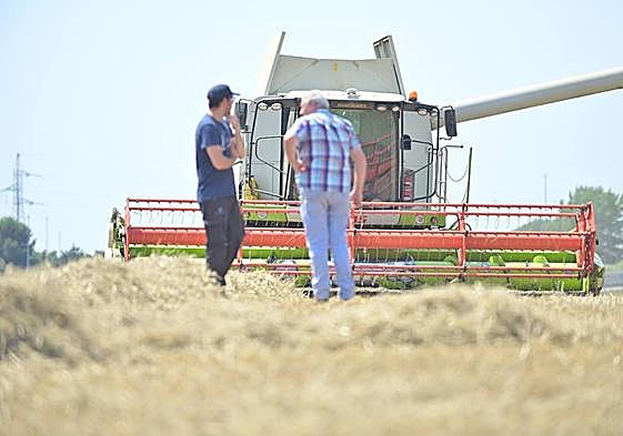 Dos agricultores intercambian opiniones en una parecela de cebada recién segada en la provincia de Valladolid.