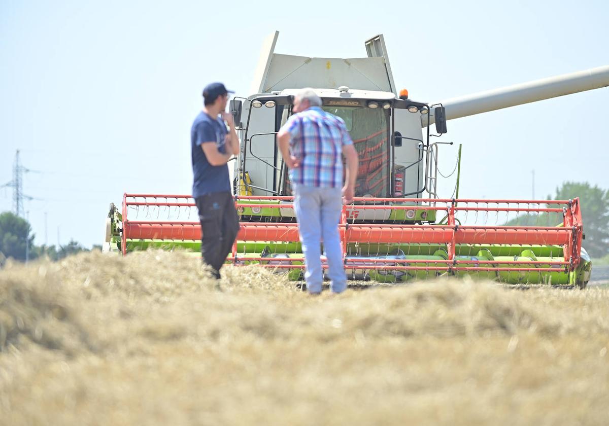 Dos agricultores intercambian opiniones en una parecela de cebada recién segada en la provincia de Valladolid.