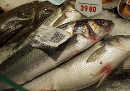 Pescadería Arenal, en el Mercado del Val de Valladolid.