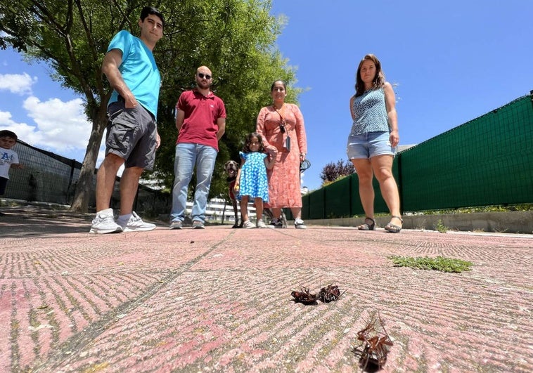 Vecinos afectados por cucarachas en el barrio vallisoletano de Villa del Prado.