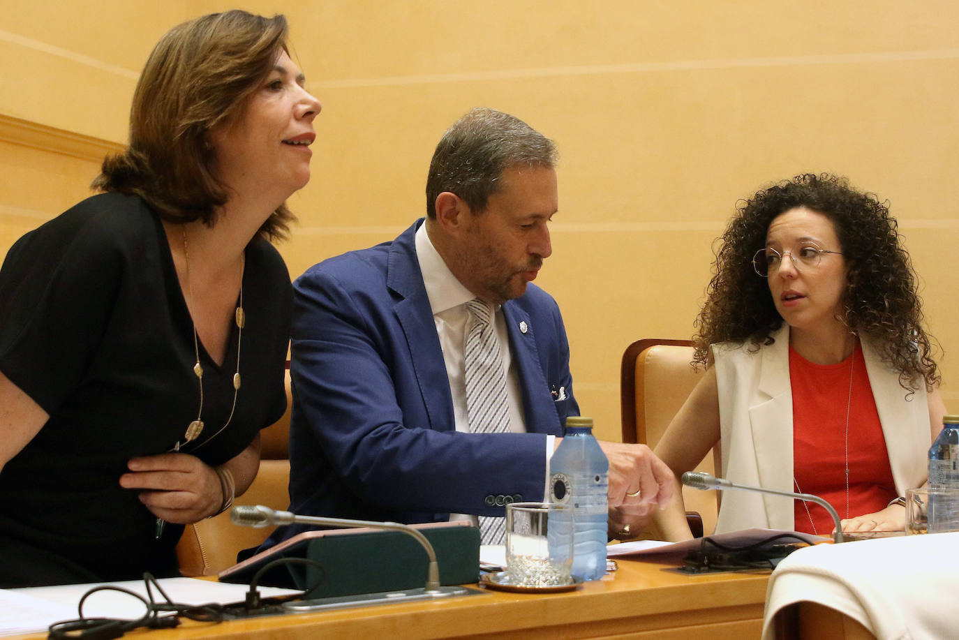 Pleno del Ayuntamiento de Segovia