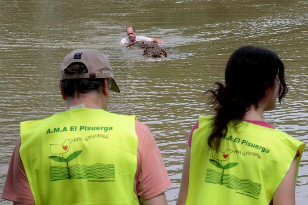 La retirada de toneladas de troncos del Pisuerga, en imágenes