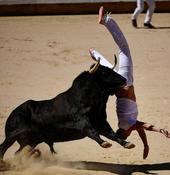 Un cortador de Segovia sufre una grave cornada en el concurso de San Fermín