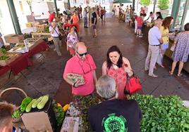 El mercado ecológico atrae numerosos visitantes en busca de consejo