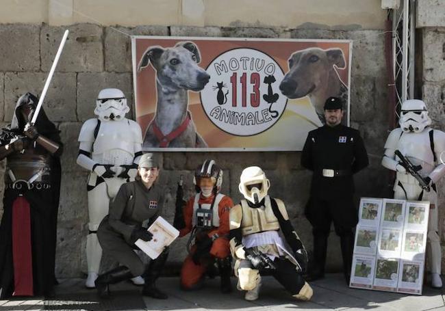 Una jornada solidaria organizada en Valladolid para potenciar la adopción de animales y recaudar fondos.