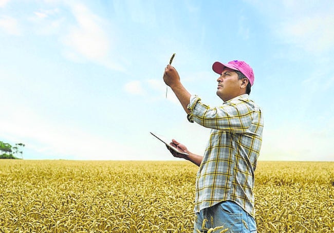 Digitalización en una explotación agrícola.