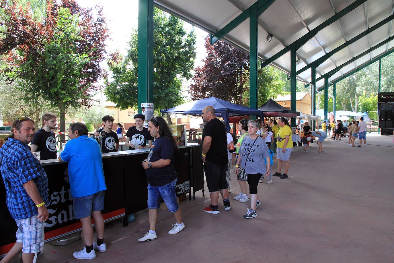 Festival solidario en Hontanares de Eresma