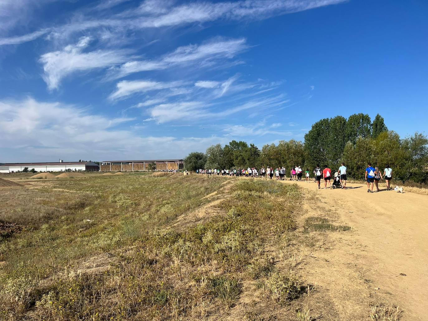 IV Marcha contra el Cáncer en Villabrágima, en imágenes