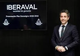 El presidente de Iberaval, César Pontvianne de la Maza.