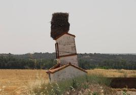 La curiosa imagen de los nidos de cigüeña sobre la torre en Santillán del Agua.