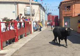 Encierro de Villafranca de Duero.