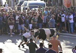 Encierro en Tudela de Duero, celebración de la segunda edición de suelta de toros «El Fogato»