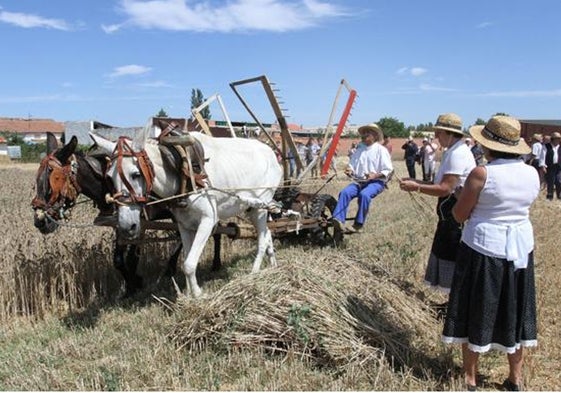 La Fiesta de la Trilla permite el regreso a un pasado no tan lejano y muy enraizado en la economía local