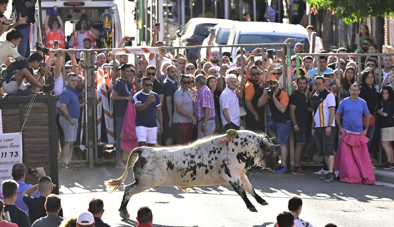 El encierro de las fiestas de Tudela en imágenes